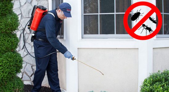 Sinanpaşa Karınca İlaçlama böcek ilaçlama ve haşere kontrolü — ilaclama-tr.com